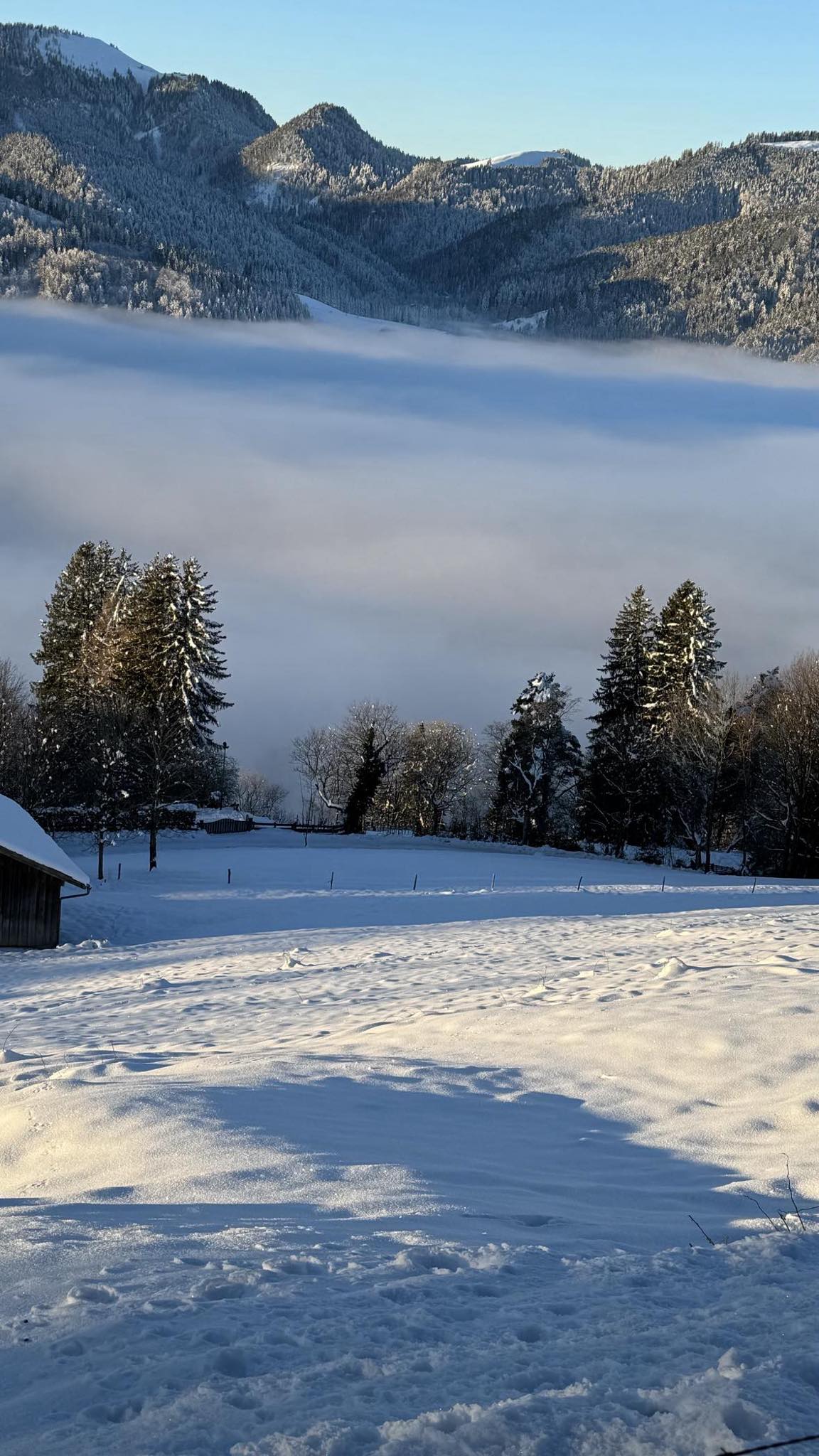 Wanderung bei Langenbach